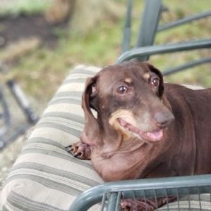 Meet your Posher, Loretta